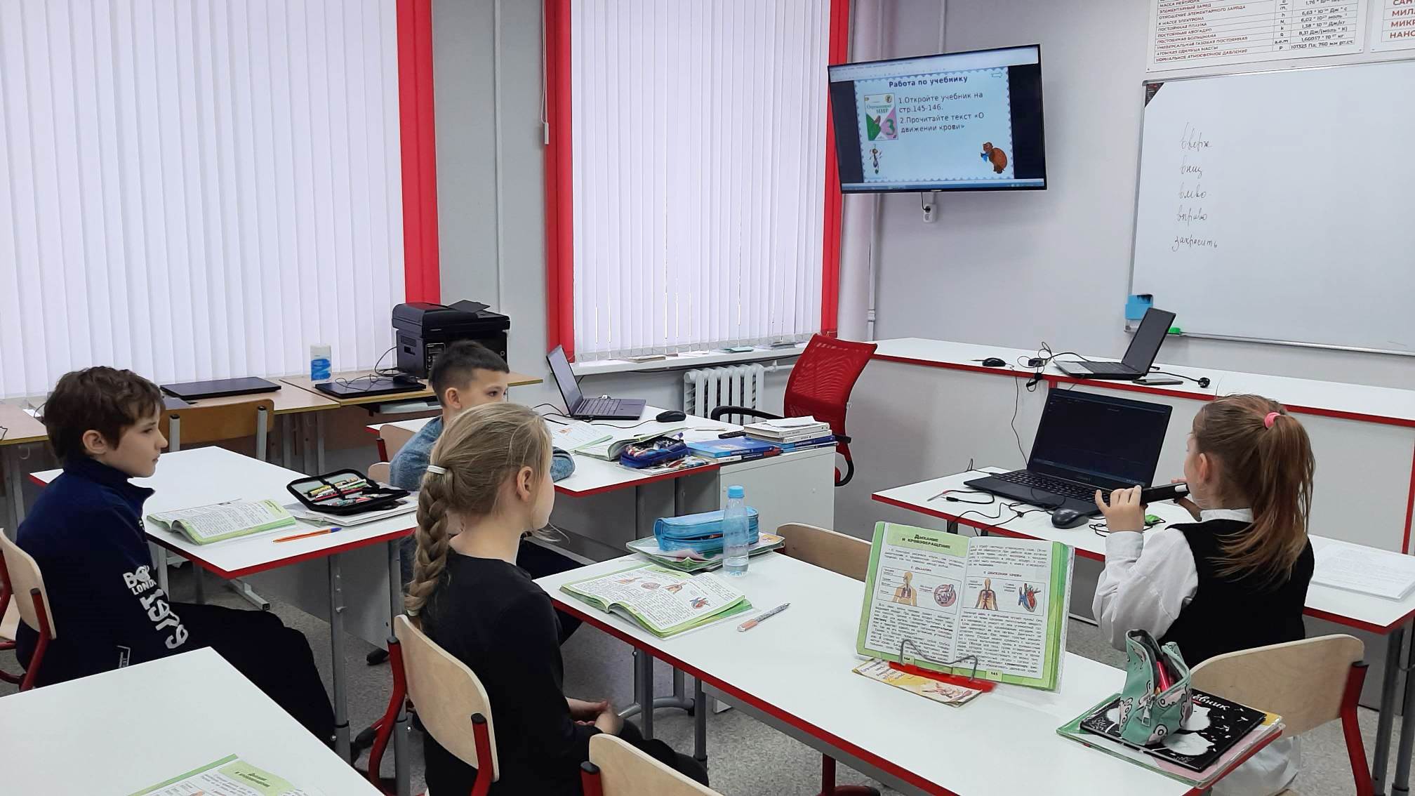 Изучаем дыхание и кровообращение на уроке в 3 классе Изучаем дыхание и кровообращение на уроке в 3 классе